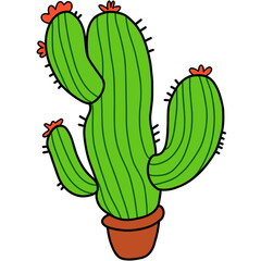 cactus in a pot