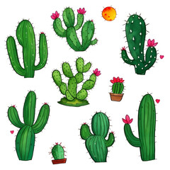 set of cactus