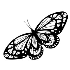 Sketch, doodle butterfly, night moth.Vector graphics.