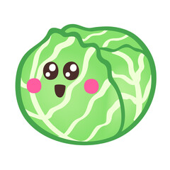 cabbage