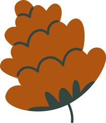 Coniferous Cone Fetus