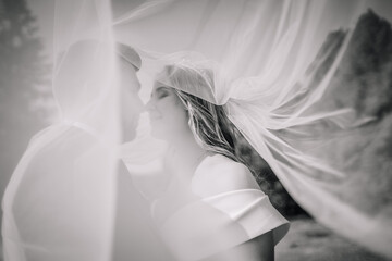 wedding couple on nature. bride and groom hugging under the veil at wedding.
