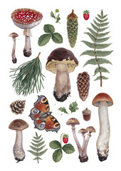 Hand painted acrylic botanical illustrations of forest nature. Cottegecore style. Perfect for prints, packaging design, posters, stationery and other goods - 619813417