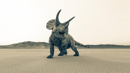 Obraz na płótnie Canvas triceratops is looking for food in the desert on the afternoon
