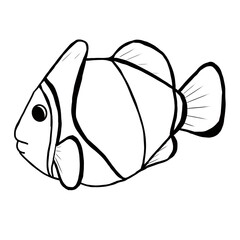 Nemo fish lined drawing. - obrazy, fototapety, plakaty