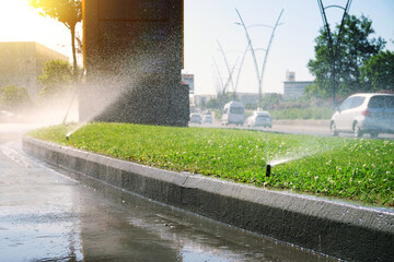 Automatic lawn irrigation system with ornamental grass on a highway.