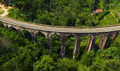 Fototapeta na wymiar Sri Lanka is a forest bridge
