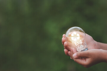 energy saving and environmental conservation icon concept in hand-held bulbs for environmental,...