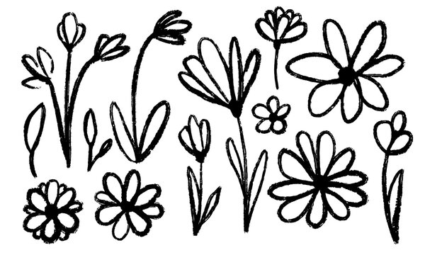 Set of flowers, leaves, floral stems. Wild plants drawing with grunge brush. Black and white botanical elements. Vector illustration.