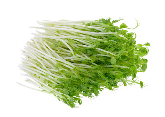 green pea sprouts on transparent png