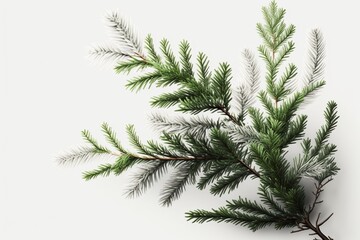 Fototapeta na wymiar Christmas Tree Branches on White Background, Generative AI