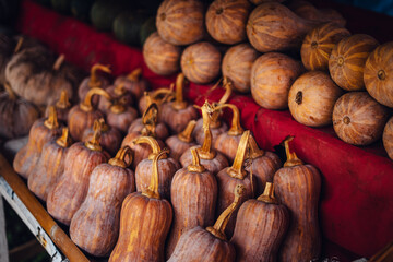 Pumpkins at a street market