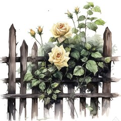 watercolor fence black roses white background