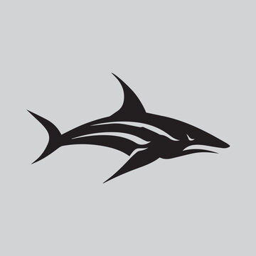 Shark logo illustration design