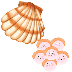 Obraz na płótnie Canvas Illustration of Scallops seafood