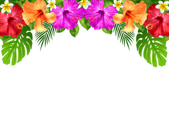 ハイビスカスとプルメリアの装飾フレーム　飾り枠 © あんもち