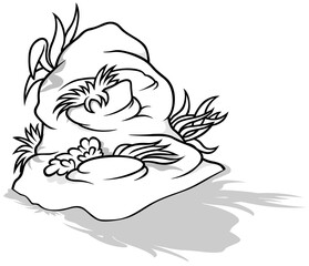 Drawing of a Sea Rock with Aquatic Plants