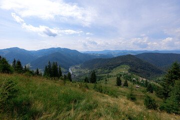 Fototapeta na wymiar Carpathian mountains in the summer