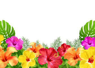 ハイビスカス　おしゃれな装飾フレーム　飾り枠