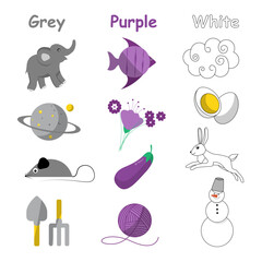 Colors for children. Color study worksheet. White, purple, grey. Set. Education card.
