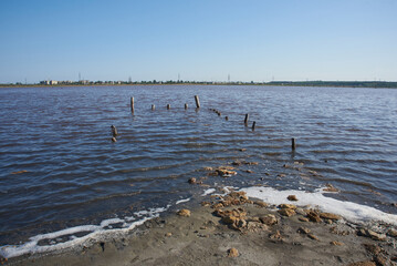 wood in the sea