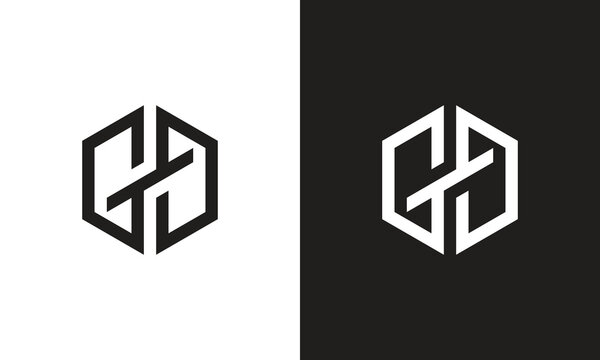 GD logo ambigram, monogram unique logo, black and white logo, premium elegant logo, letter GD Vector	