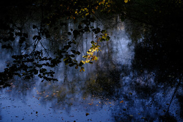 Dunkelblauer See bei beginnendem Herbst mit überhängendem Baumblattwerk  auf den in der Mitte die Sonne scheint und Blätter schwimmen