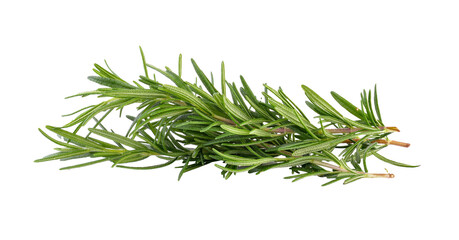 rosemary on transparent png