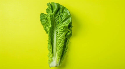 Romaine lettuce on colorful background. empty copy space on the side for text. Bright Vibrant colors. Generative AI.