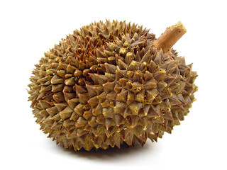Jackfruit, texture on white background
