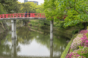 春の岡崎城の風景(神橋を臨む)