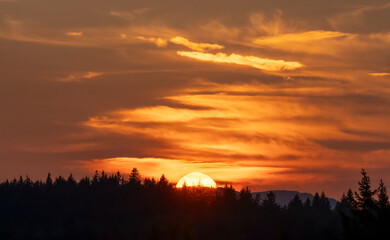 Sunset over evergreen forest on the Olympic Peninsula in Washington state