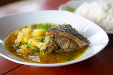 Majaz stewed. The majaz or paca is a species of rodent for meat that is highly valued and commonly consumed in the Peruvian jungle.