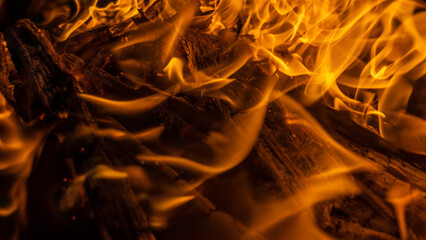Bonfire Flames