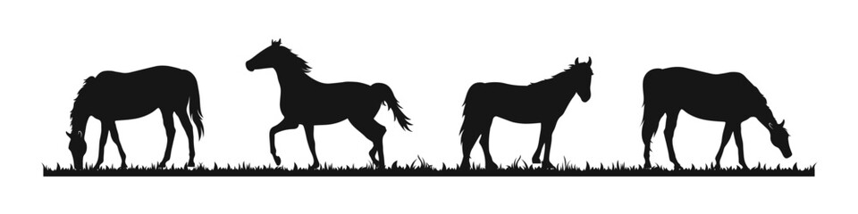 Grazing horse vector set. Horse body silhouette, stallion icon