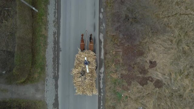 Aerial view of pair of horses pulling old wooden cart full of dry hay with peasant men on it