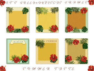 メッセージカード素材【ハイビ・モンステラ・ヤシ】夏のフレーム(・&forall;・)