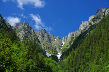 Fototapeta premium Bucsoiu Valley, Bucegi Mountains, Romania 