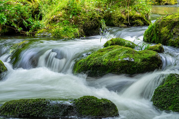 waterfall in the triebtal forest