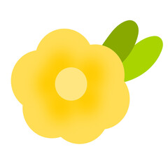 yellow flower isolated on white