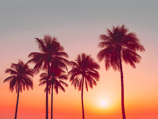Fototapeta na wymiar Sunset Palms Silhouettes of Palm Trees at Dusk
