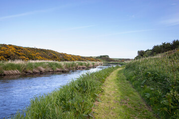 Peaceful scene of a cut grass path running along the banks of the river Ugie in Aberdeenshire in Scotland. With reeds on the banks of the river and yellow gorse covered hills in the background.