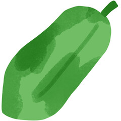 green papaya on a white background