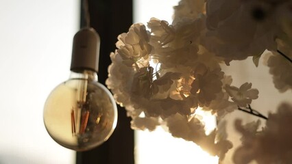 Close up hanging electric light bulb and arrangement of pastel colours roses flowers by the window with sunset sunlights. Stylish details of festive decorations indoors restaurant - Powered by Adobe