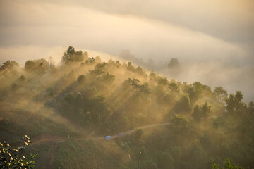 Scenic morning in autumn, Sunrise and fog over tree forest with sunlight and shadow of tree...