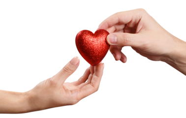 Male and female hands sharing a red love heart, cut out