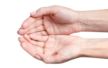 Open female hands cut out