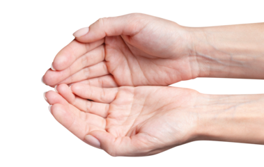 Open female hands cut out