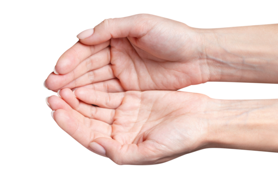 Open female hands cut out