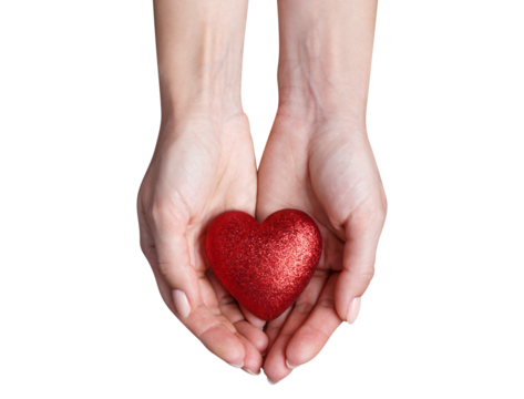 Female hands holding a red love heart, cut out